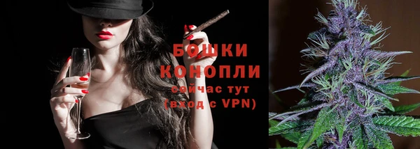 гашик Переславль-Залесский